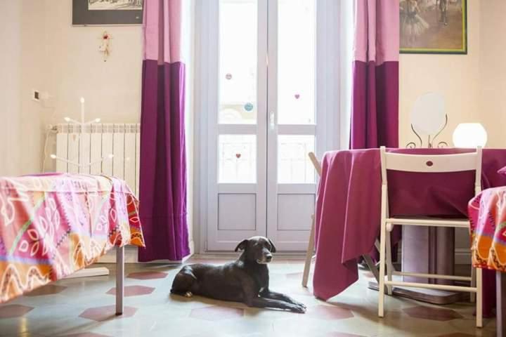 Casa Dani&Swing Bed&Books Bed & Breakfast Torino Dış mekan fotoğraf